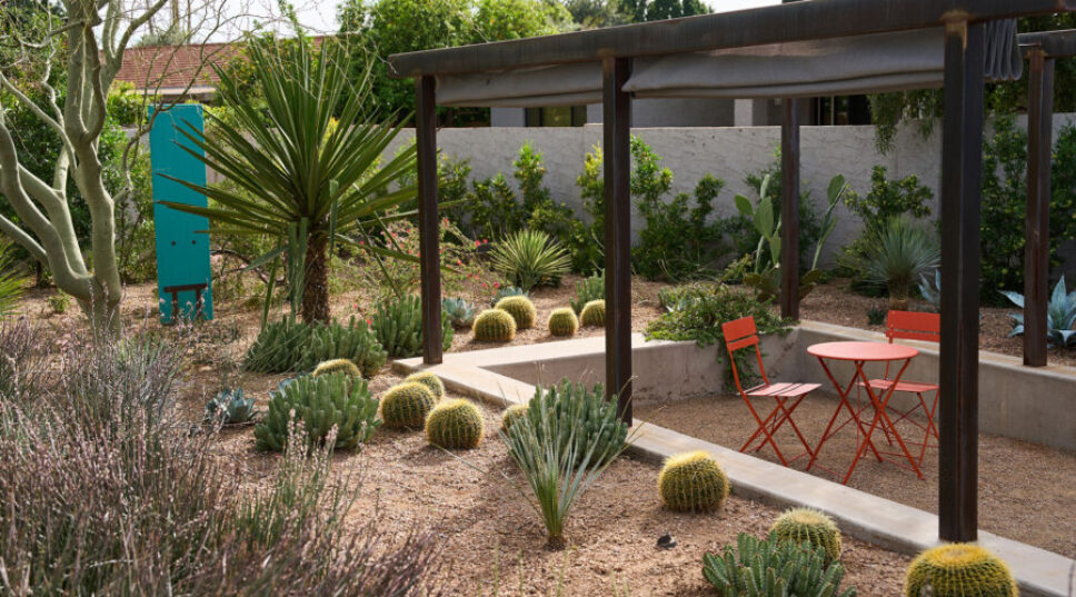 The Plants You Want in Your Garden During a Heatwave