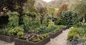 Christian Douglas Design Raised Beds