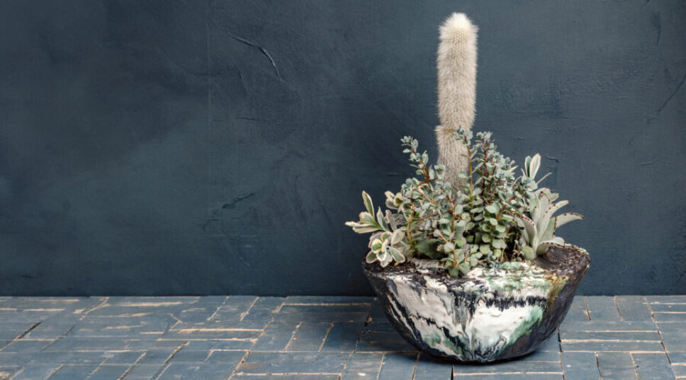 These Are the 4 Commandments of Container Gardening