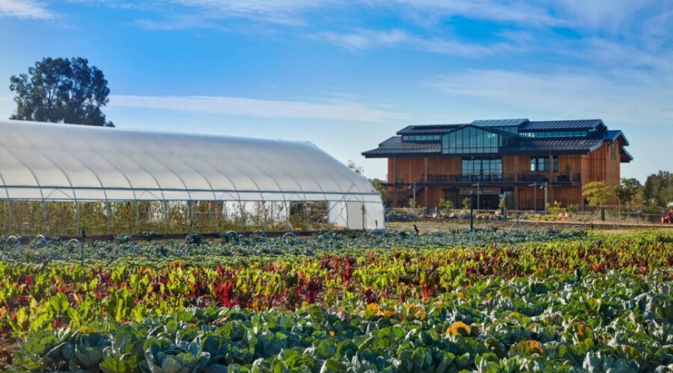 Why Your Next Family Trip Should Be to This Charming (and Luxe) San Diego Farm