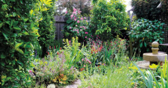 Colorful Garden