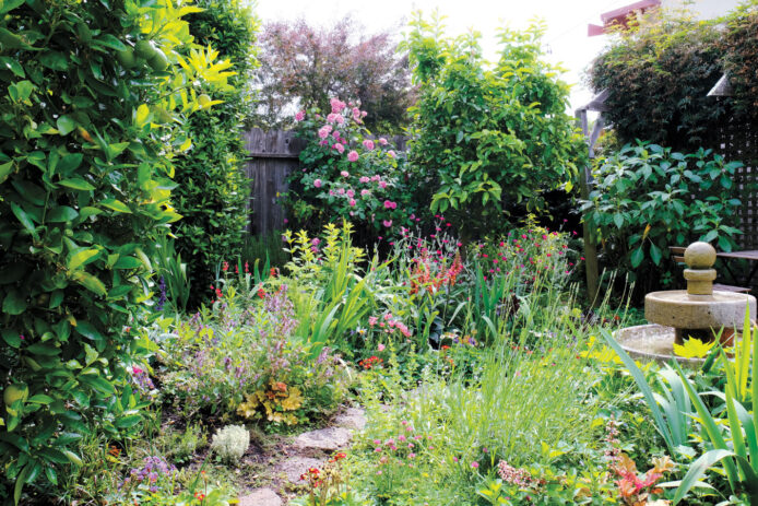 Colorful Garden