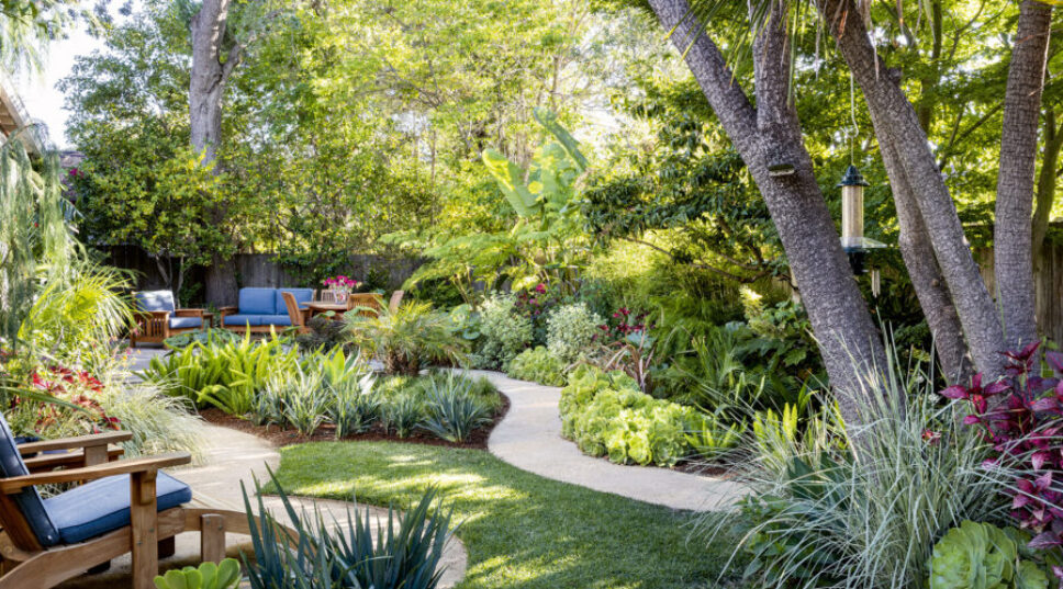 A Pro's Tips to Design the Edible Garden of Your Dreams