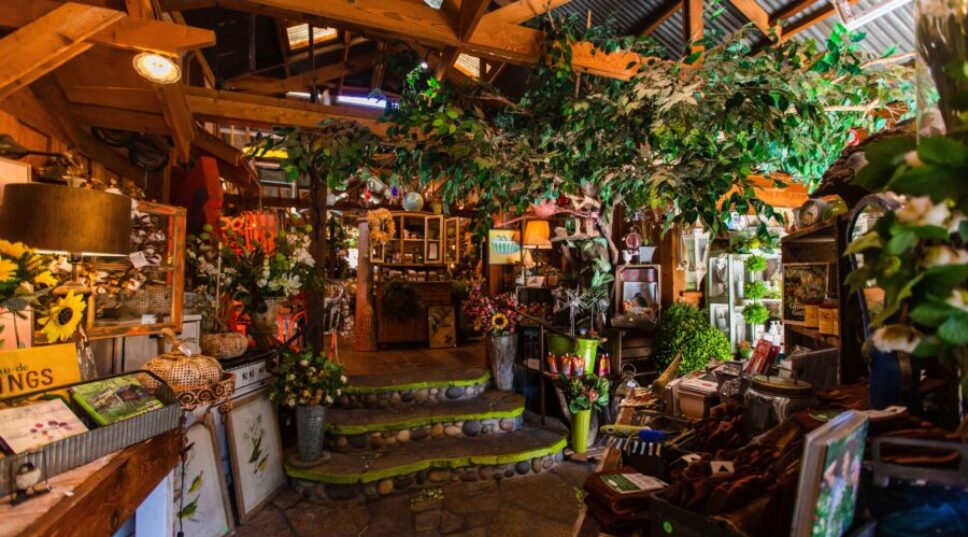 This Underrated California Seaside Town Is a Must-Visit for Plant Lovers