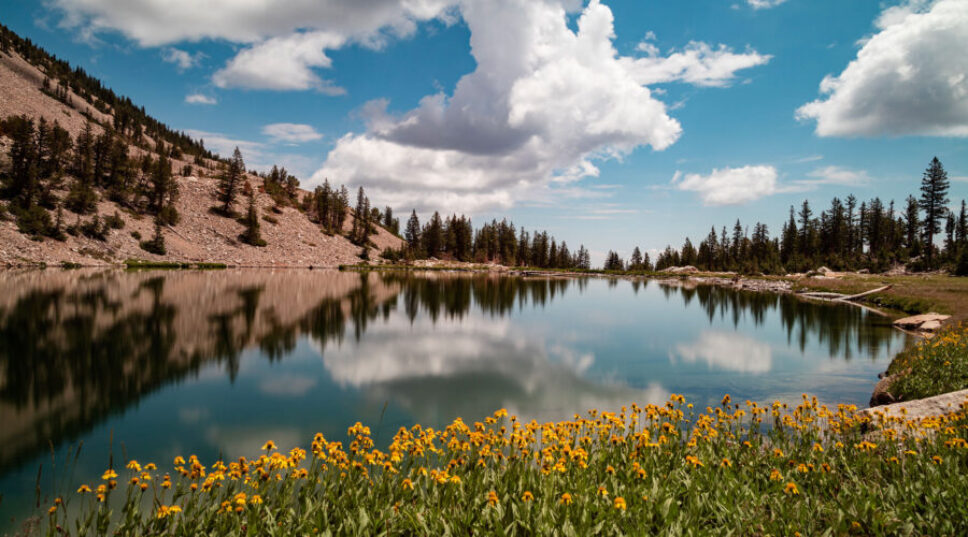 You Can Visit Your Favorite National Park for Free Next Week. Here's How.