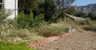 Heat Proof Garden Morgan Ramirez