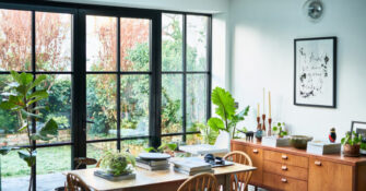Houseplants in Dining Room