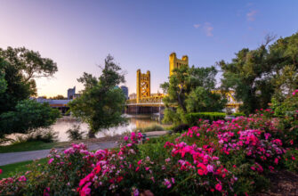 West Sacramento with Bridge
