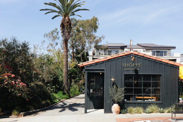 Amber Lewis on Rebuilding the California Home