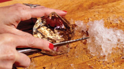 Hand-Cutting an Ice Diamond