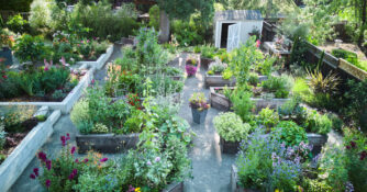Pine House Edible Gardens