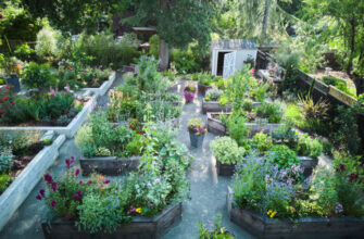 Pine House Edible Gardens