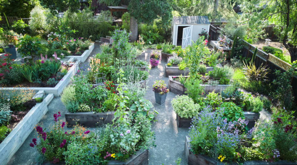 This $0 Hack Will Fix Your Raised Beds