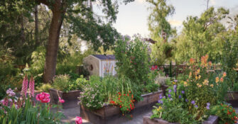 Pine House Raised Beds
