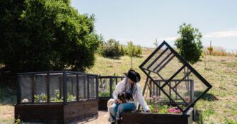 Dark Raised Bed