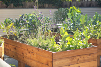 Wooden Raised Beds with Veggies
