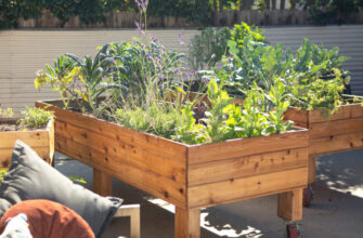 Wooden Raised Beds with Veggies