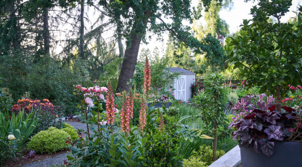10 Essential Tasks to Keep Your Garden Healthy This Summer