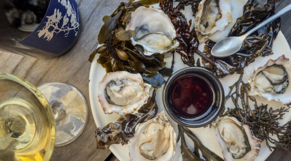 I Went Seaweed Foraging on the Sonoma Coast—Here's What I Learned